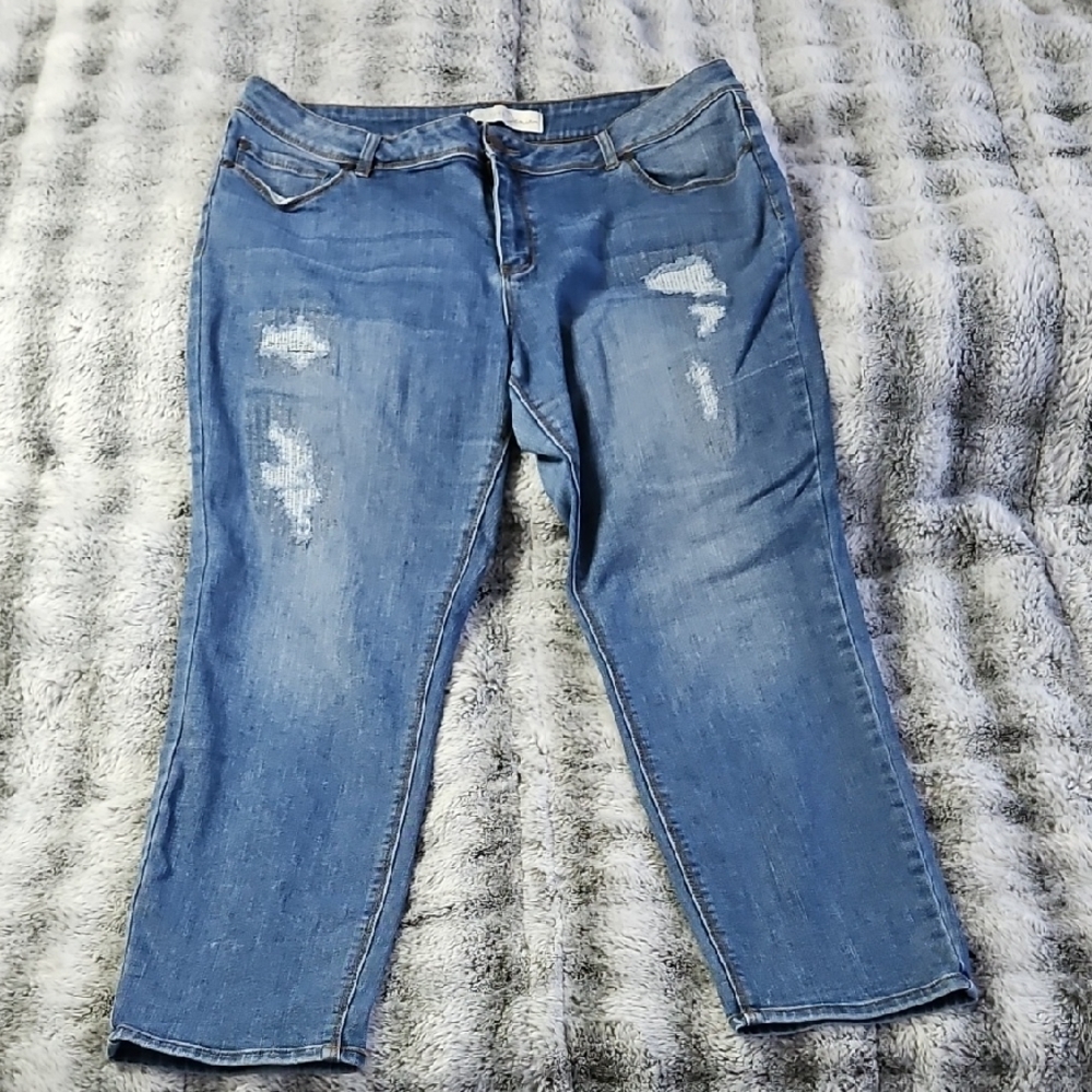 Cato 🖤 Women's Blue Jeans (180)